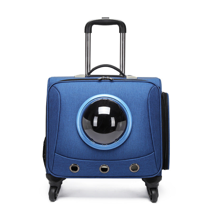 PfotenPilot Travel Capsule