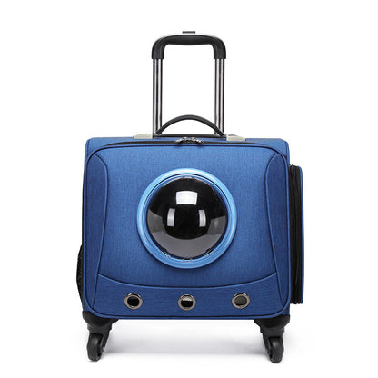 PfotenPilot Travel Capsule