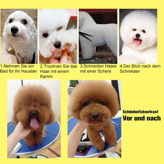 Hair Cutting Scissors For Dogs - Precise Coat Care