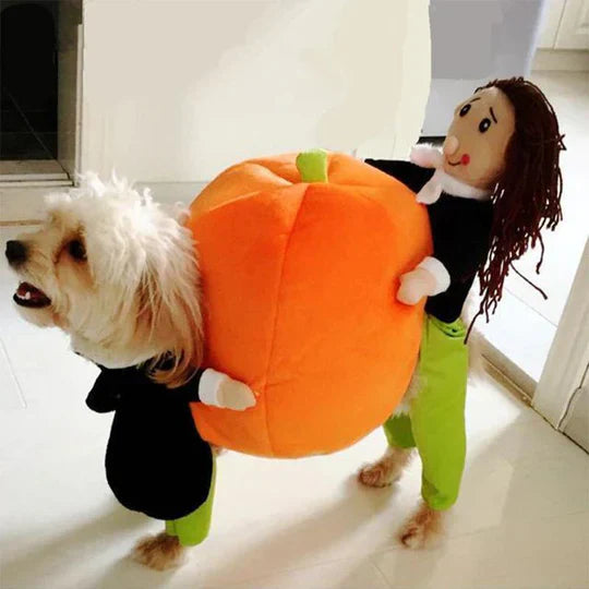 Creative Disguises For Pets