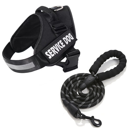 Personalized No-Pull Dog Harness for Easier Walks