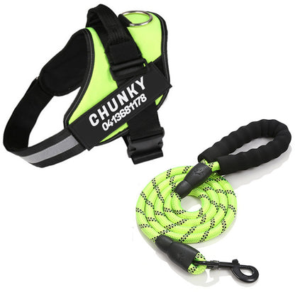 Personalized No-Pull Dog Harness for Easier Walks