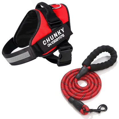 Personalized No-Pull Dog Harness for Easier Walks