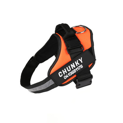 Personalized No-Pull Dog Harness for Easier Walks