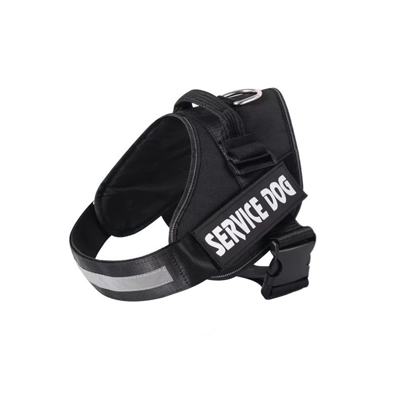 Personalized No-Pull Dog Harness for Easier Walks