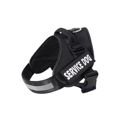 Personalized No-Pull Dog Harness for Easier Walks