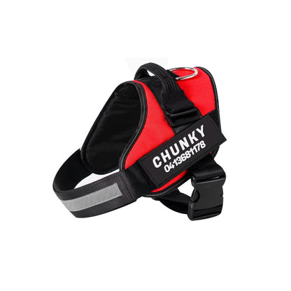 Personalized No-Pull Dog Harness for Easier Walks