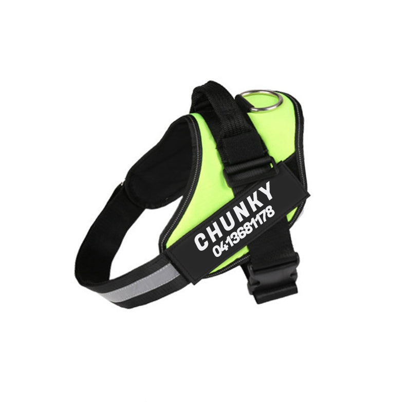 Personalized No-Pull Dog Harness for Easier Walks
