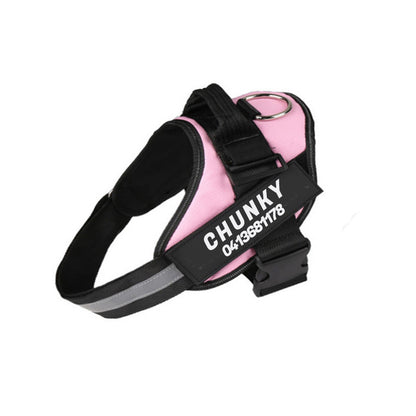 Personalized No-Pull Dog Harness for Easier Walks