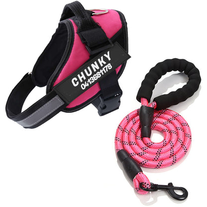 Personalized No-Pull Dog Harness for Easier Walks