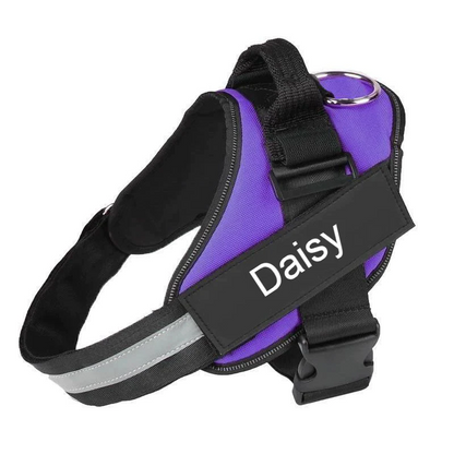Personalized No-Pull Dog Harness for Easier Walks