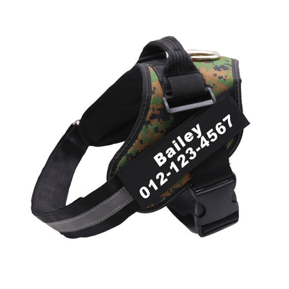 Personalized No-Pull Dog Harness for Easier Walks