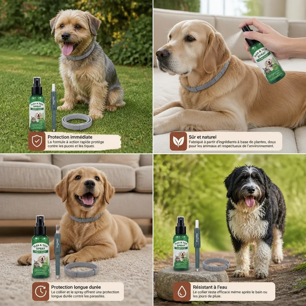 Natural Tick-Free Complete Protection Set for Dogs – The Worry-Free Package