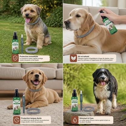 Natural Tick-Free Complete Protection Set for Dogs – The Worry-Free Package