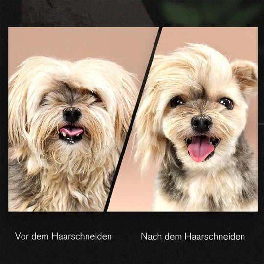 Hair Cutting Scissors For Dogs - Precise Coat Care