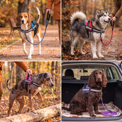 Personalized No-Pull Dog Harness with Front D-Ring – Designed for Neck & Shoulder Relief