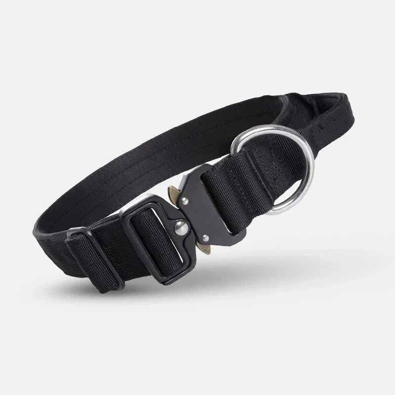 Dog Collar with Handle for Control