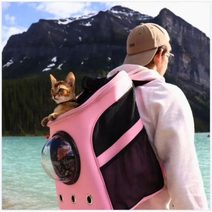 Cat Transport Bag