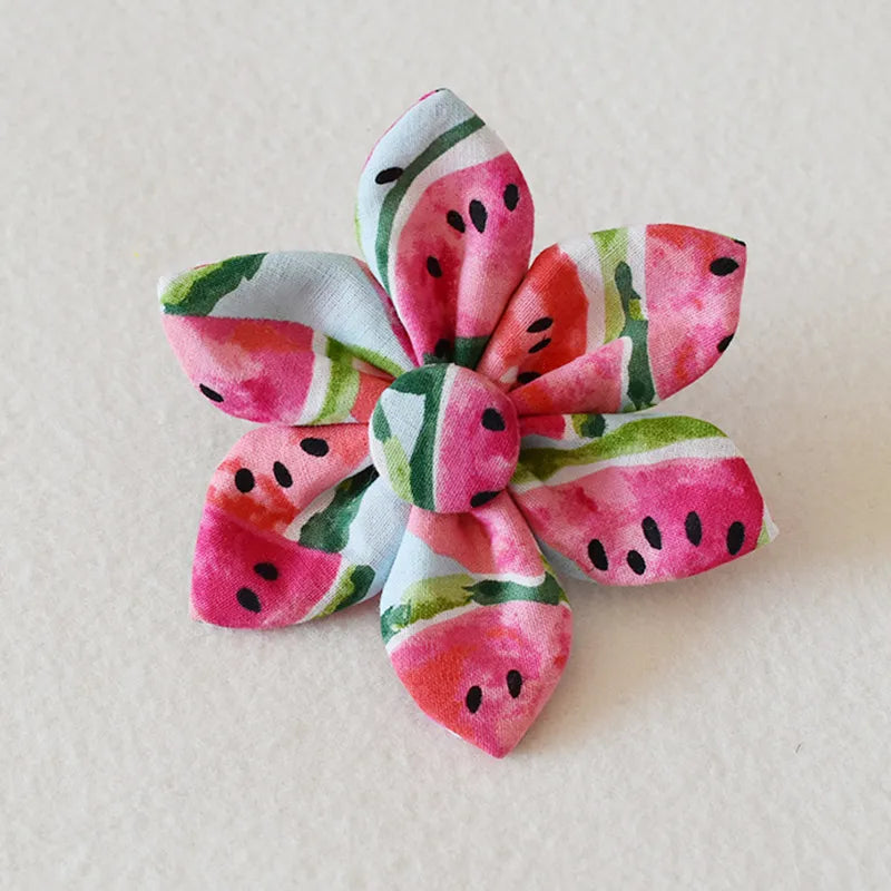 Dog Collar With Bow And Leash In Watermelon Design - Adjustable And Comfortable