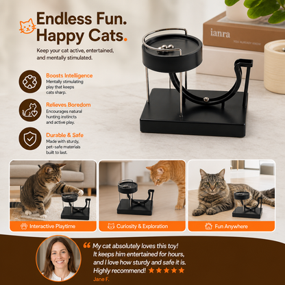 Marble run cat toy for endless fun