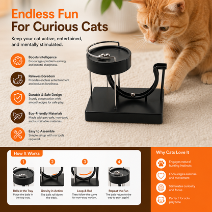 Marble run cat toy for endless fun