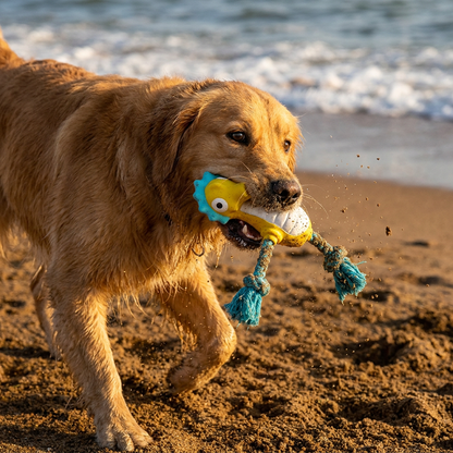Durable Floating Dental Latex & Rope Dog Toy