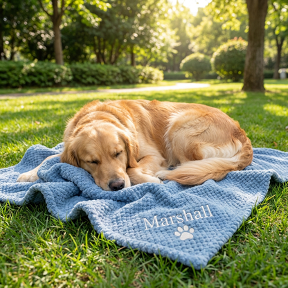 Personalized Fluffy Dog Blanket with Custom Embroidery