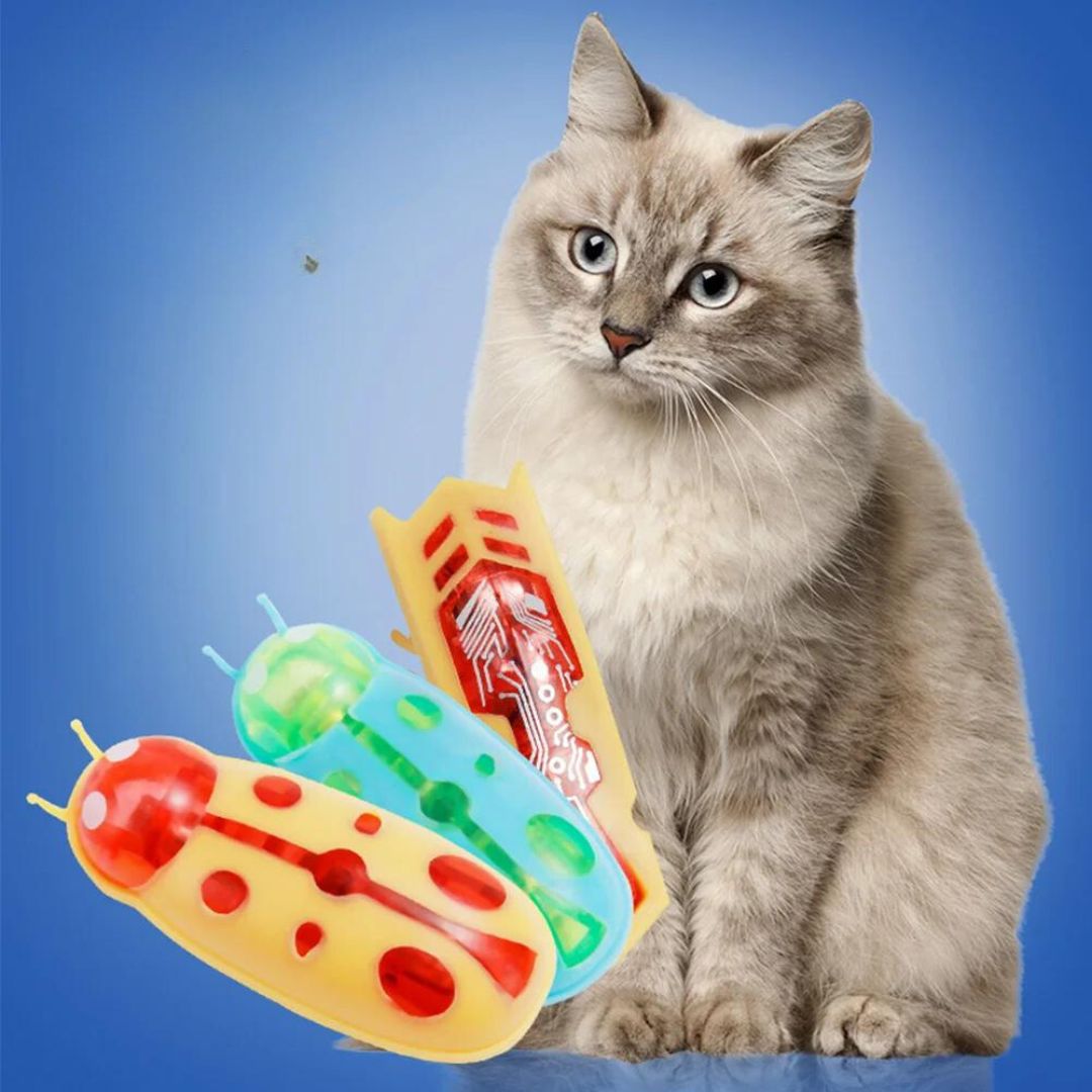 Cat Cockroach Toy – Paw-Friend