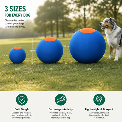 Inflatable Bite Resistant Herding Ball for Dogs – Durable Interactive Push & Chase Toy