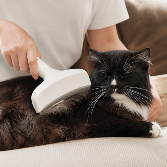 Cat Deshedding Undercoat Rake – Extra-Wide Grooming Tool for Loose Fur & Long Hair