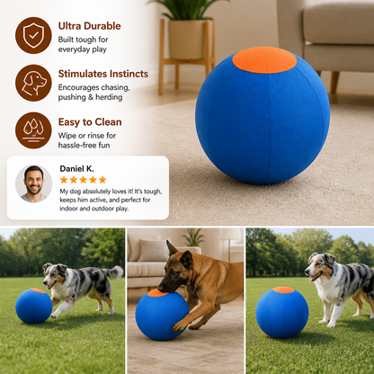 Inflatable Bite Resistant Herding Ball for Dogs – Durable Interactive Push & Chase Toy