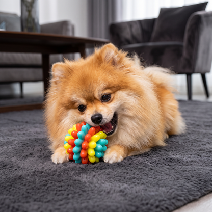 Colourful Bumpy Dog Chew Ball