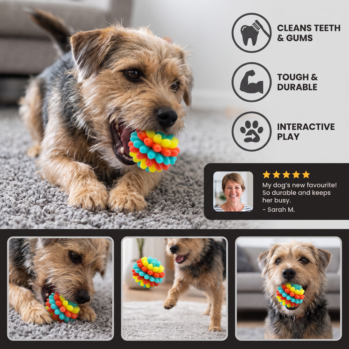 Colourful Bumpy Dog Chew Ball