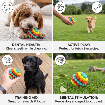 Colourful Bumpy Dog Chew Ball