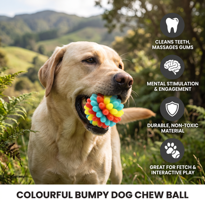 Colourful Bumpy Dog Chew Ball