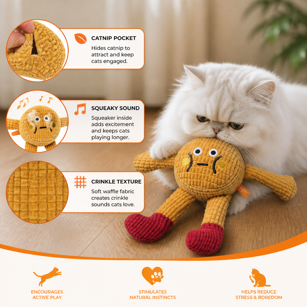 Crinkle Waffle Cat Toy with Catnip Pocket and Squeaky Sound