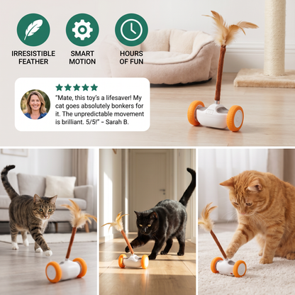 Self-Moving Feather Cat Teaser Toy