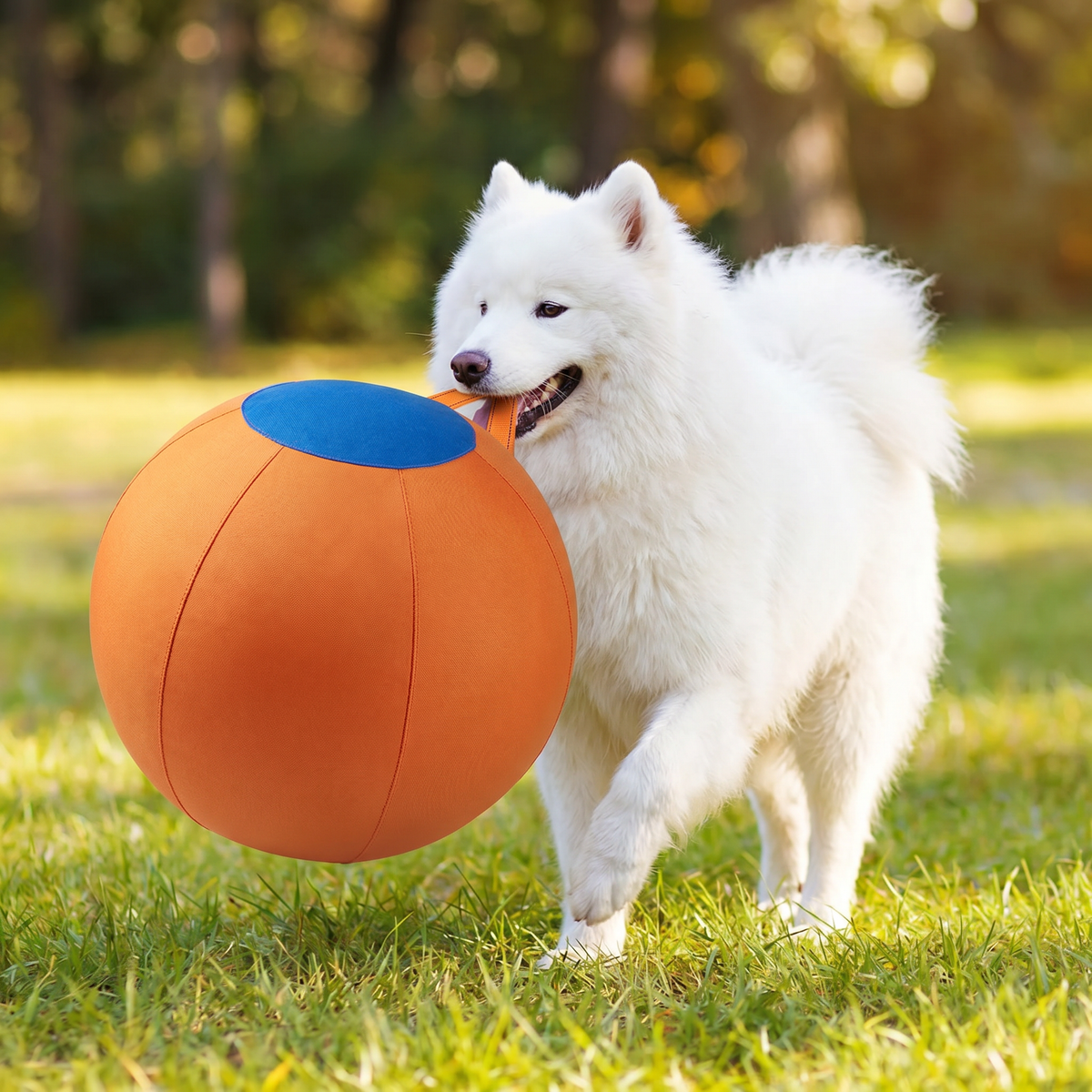 Durable training ball with cover for dogs
