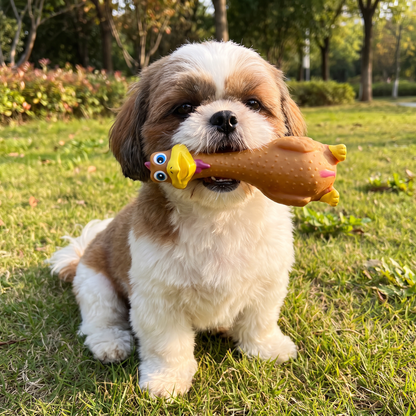 Durable Natural Latex Teeth Cleaning Dog Chew Toy