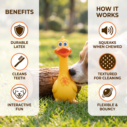 Durable Natural Latex Teeth Cleaning Dog Chew Toy