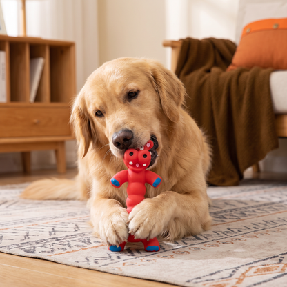 Durable Natural Latex Teeth Cleaning Dog Chew Toy