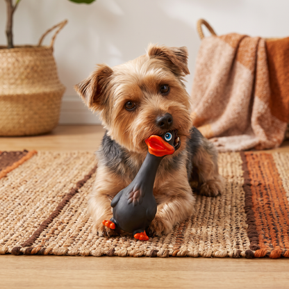 Durable Natural Latex Teeth Cleaning Dog Chew Toy