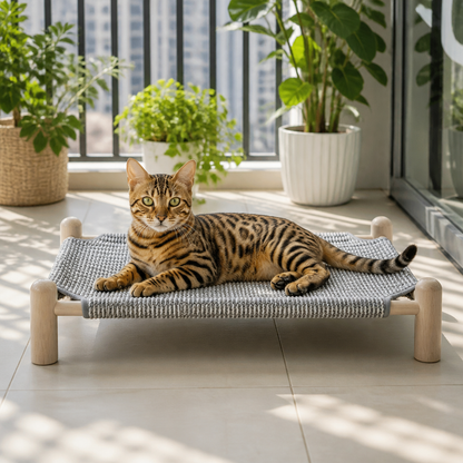 Wear-resistant detachable and durable cat pet sleeping bed with cat scratching board