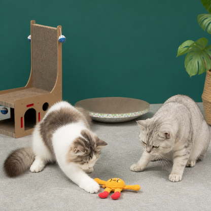 Crinkle Waffle Cat Toy with Catnip Pocket and Squeaky Sound