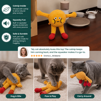 Crinkle Waffle Cat Toy with Catnip Pocket and Squeaky Sound