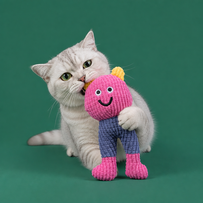 Crinkle Waffle Cat Toy with Catnip Pocket and Squeaky Sound
