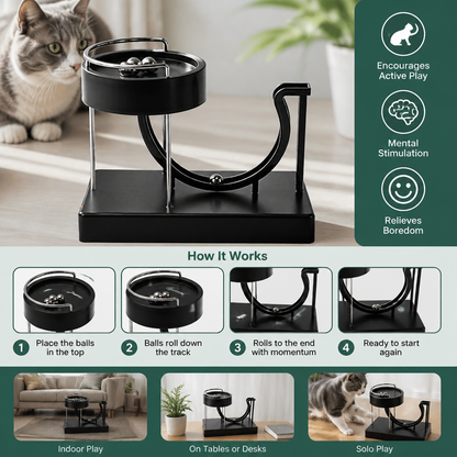 Marble run cat toy for endless fun