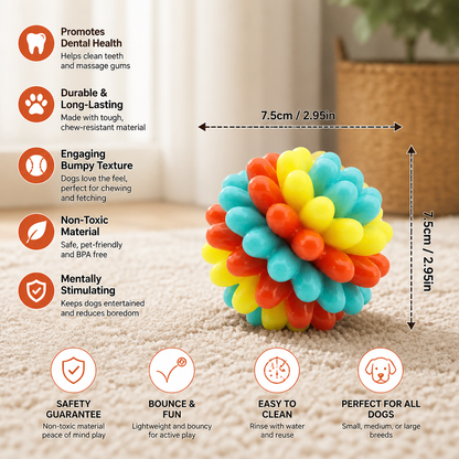 Colourful Bumpy Dog Chew Ball
