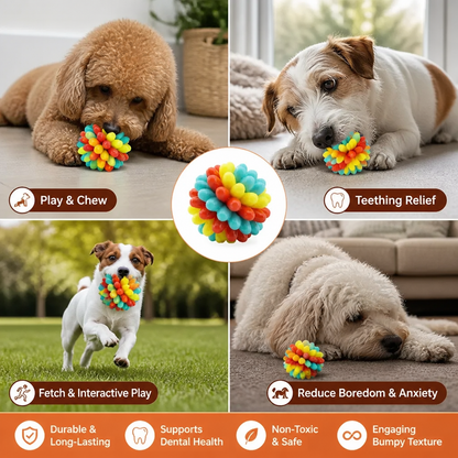 Colourful Bumpy Dog Chew Ball