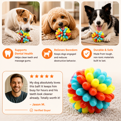 Colourful Bumpy Dog Chew Ball